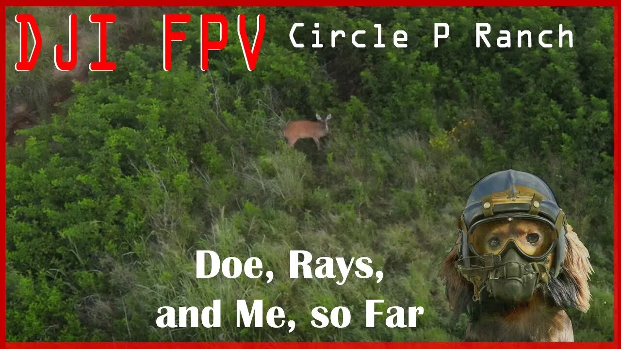 DJI FPV : CircleP Ranch (x343) - Doe, Rays, & Me So Fah