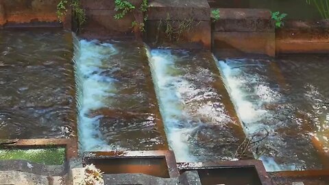 White Noise of River Water for Meditation, Relaxation, Study, Concentration and Sleeping