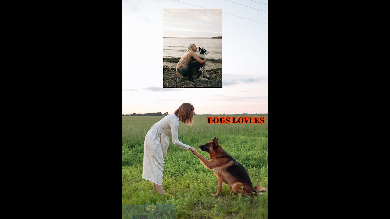 Dogs Lovers - animals lovers 💖😊 dog's purpose full movie