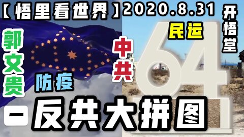 【悟里看世界】（一）2020.8.31反共大拼图/开悟堂