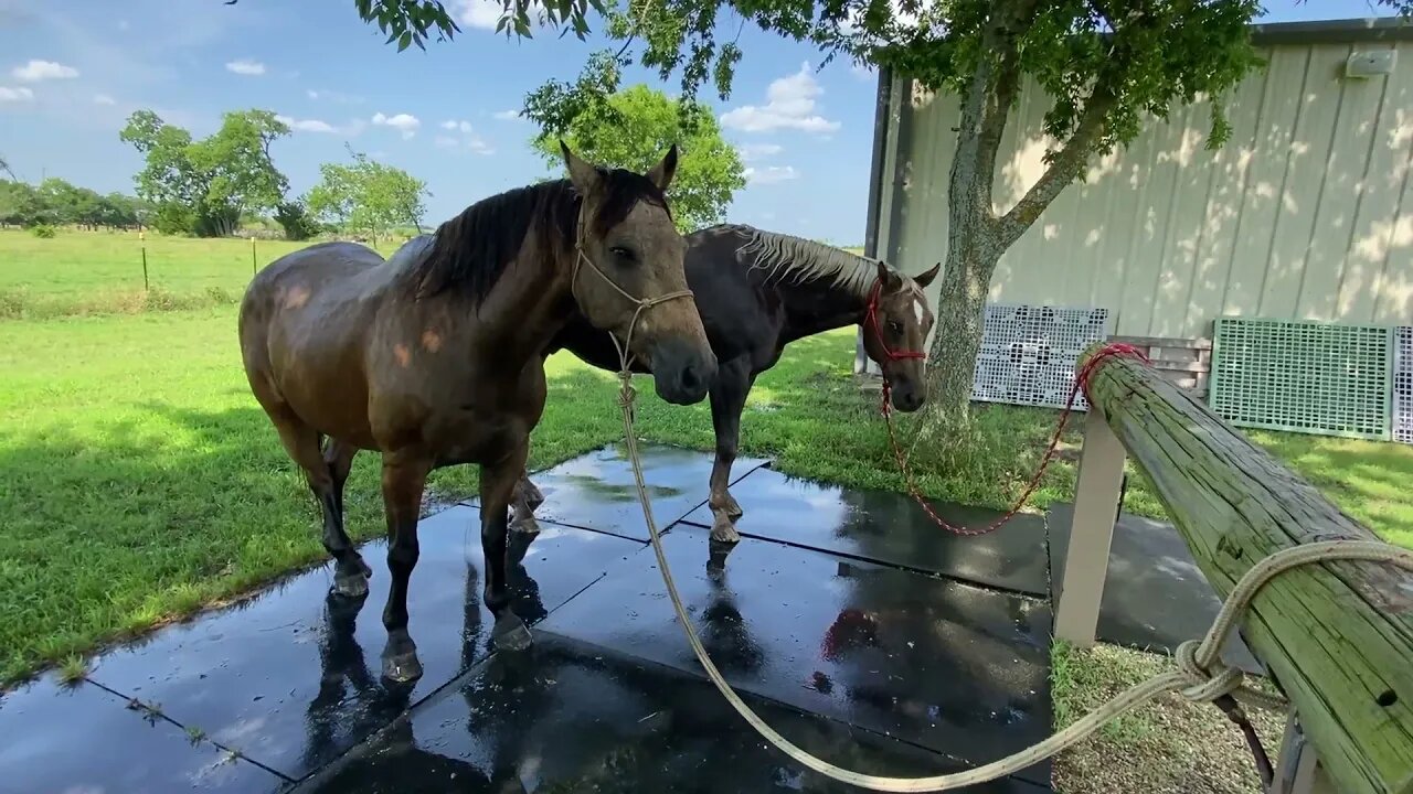 Some Random Footage That I Never Posted - I Did Not Review So I Don't Even Know What's Here