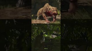 Na selva não existe honra #shorts