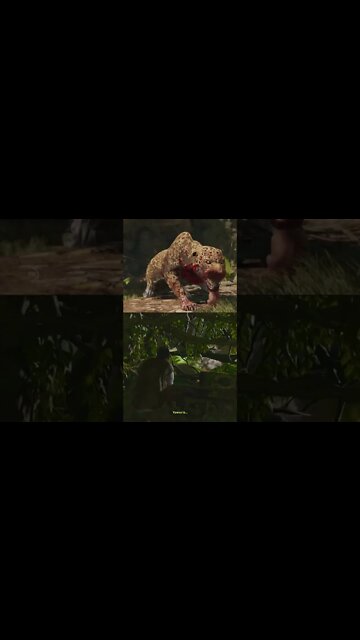 Na selva não existe honra #shorts