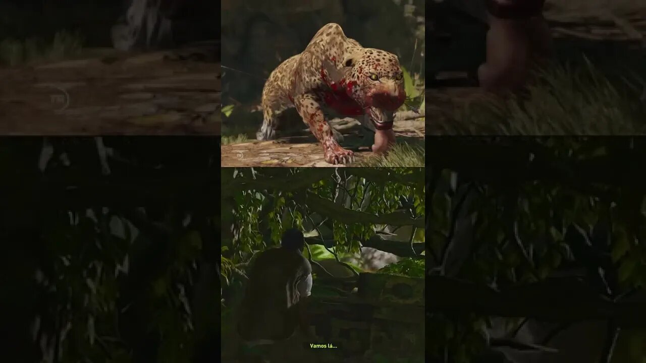 Na selva não existe honra #shorts