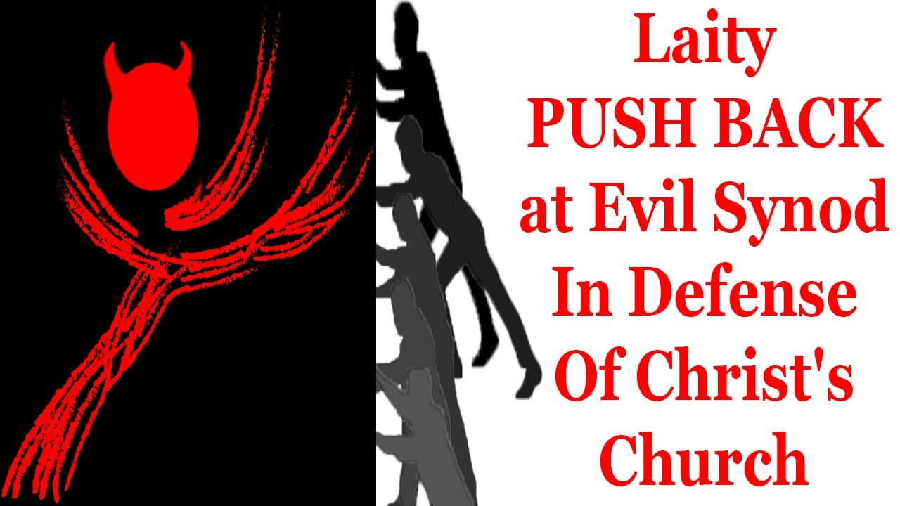 Laity PUSH BACK HARD at Evil Synod In Defense Of Christ's Church