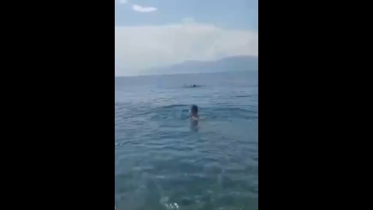 You must social distance 6 feet from fish! 🤣🤣