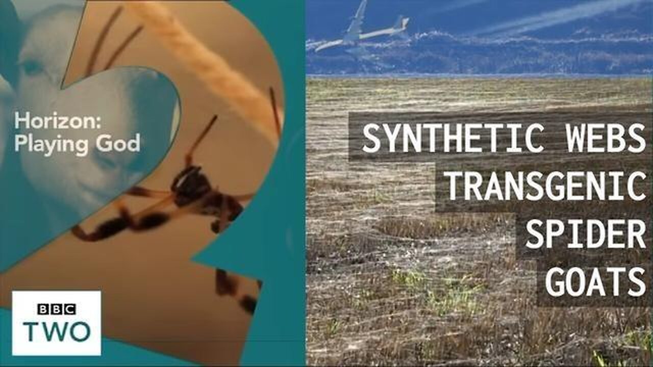 SYNTHETIC WEBS FROM THE SKY & TRANSGENIC SPIDER GOATS