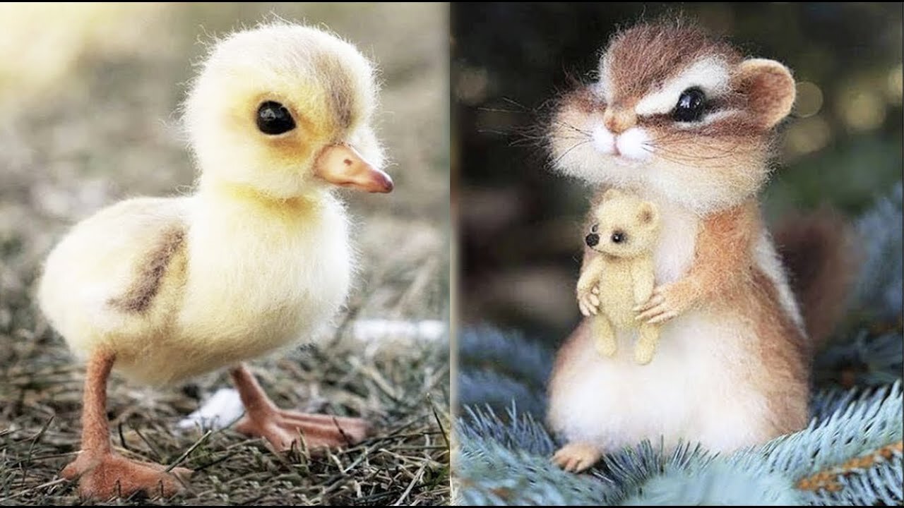 Cute baby animals Videos Compilation cute moment of the animals #2