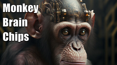 Before You Get the Brain Chip, Look at the Monkeys