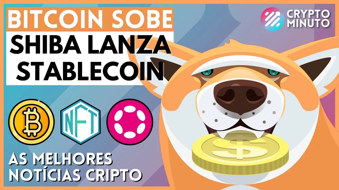 SHIBA BLOCKCHAIN - CARDANO SOLANA E POLKADOT SOBEM - INTELIGÊNCIA ARTIFICIAL CRIPTO NOTÍCIAS DE HOJE