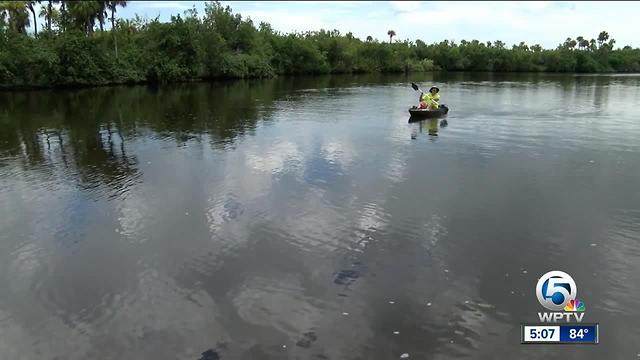 Scientists, county leaders looking to solve Treasure Coast bacteria issues