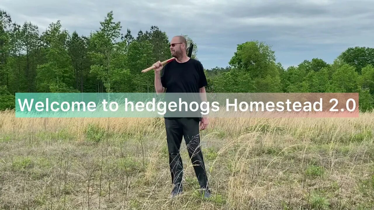 Hedgehog's Homestead 2.0