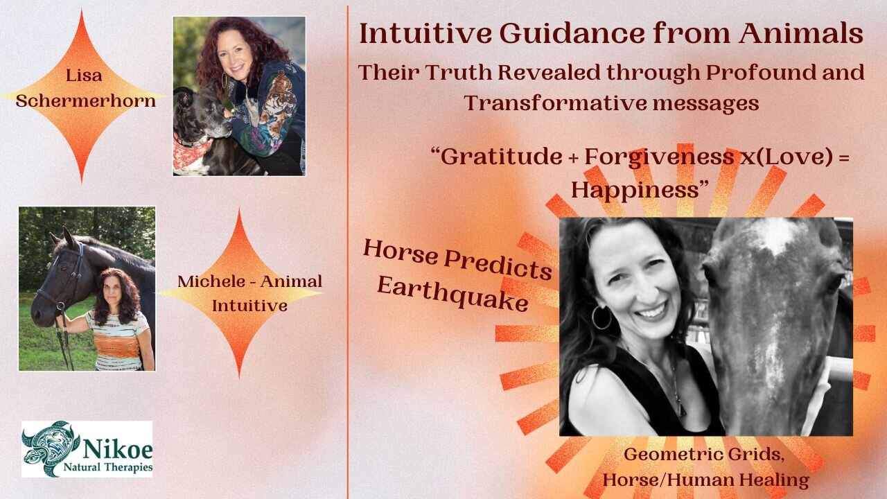 Horse Predicts Earthquake, Geometric Healing, Equines Healing Humanity