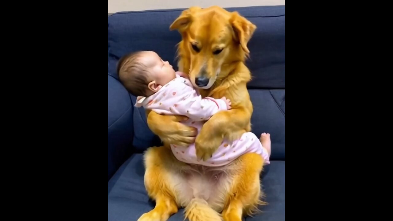 baby and pets