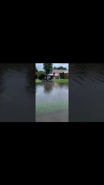 #trendingvideos #funnyvideos