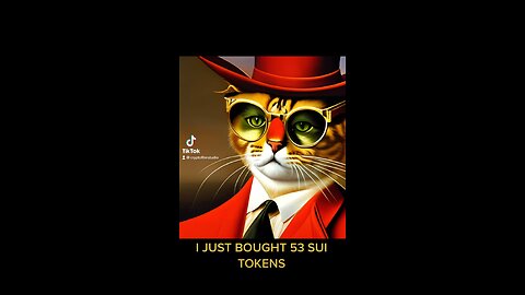 I BOUGHT 53 SUI tokens