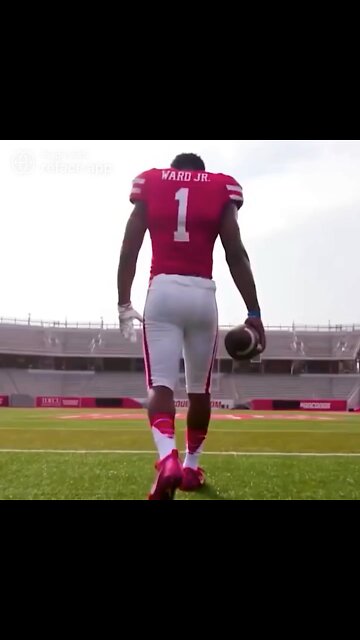 The Ultimate Donald Trump Football Player Meme! 🏈