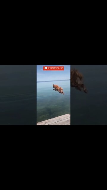 Me Seguraaa!!! Tó Pulando!!!! #shorts #dieta #saude #boaforma #emagrecer