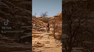 Rolling down the Gnar!