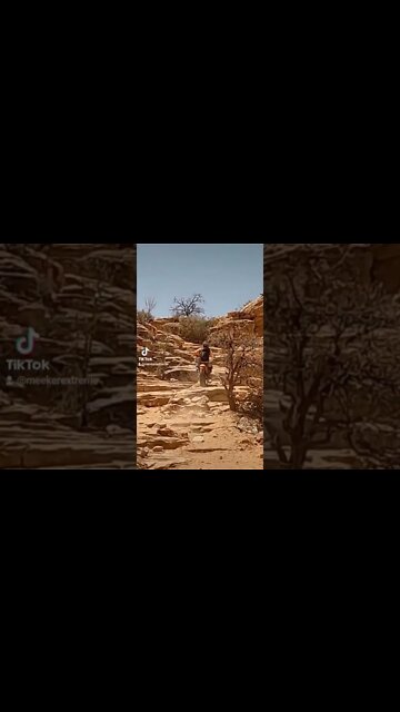 Rolling down the Gnar!