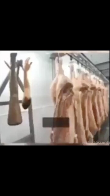 Human meat found in 90% of McDonalds