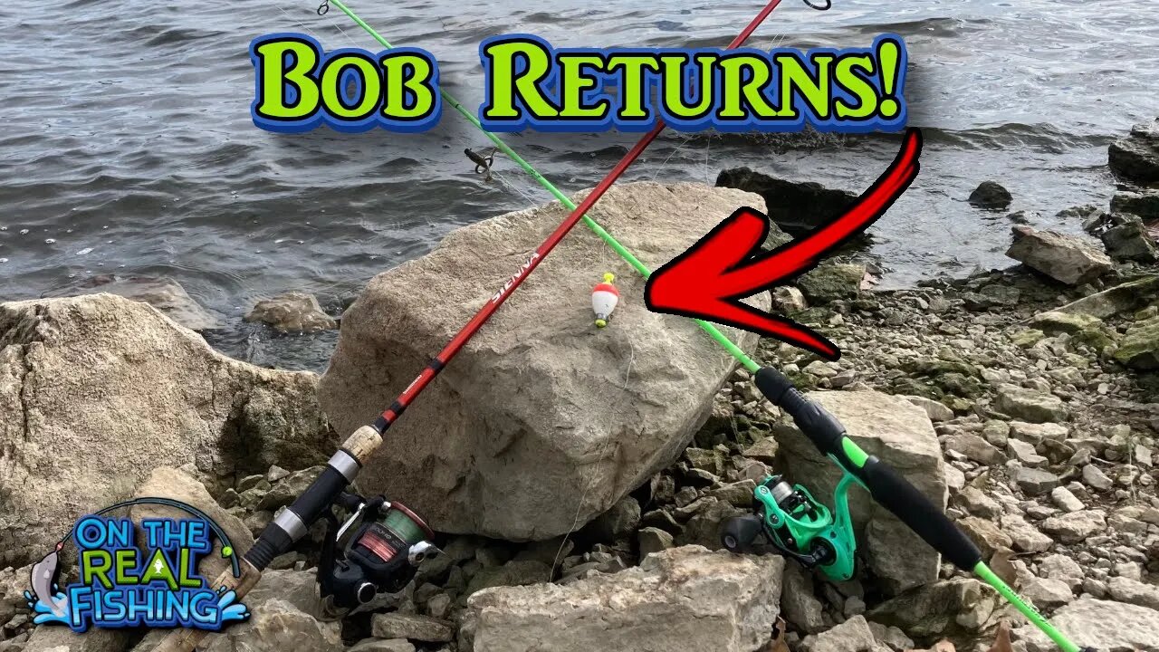 Bobber and Live Worms: Fishing for Bluegill