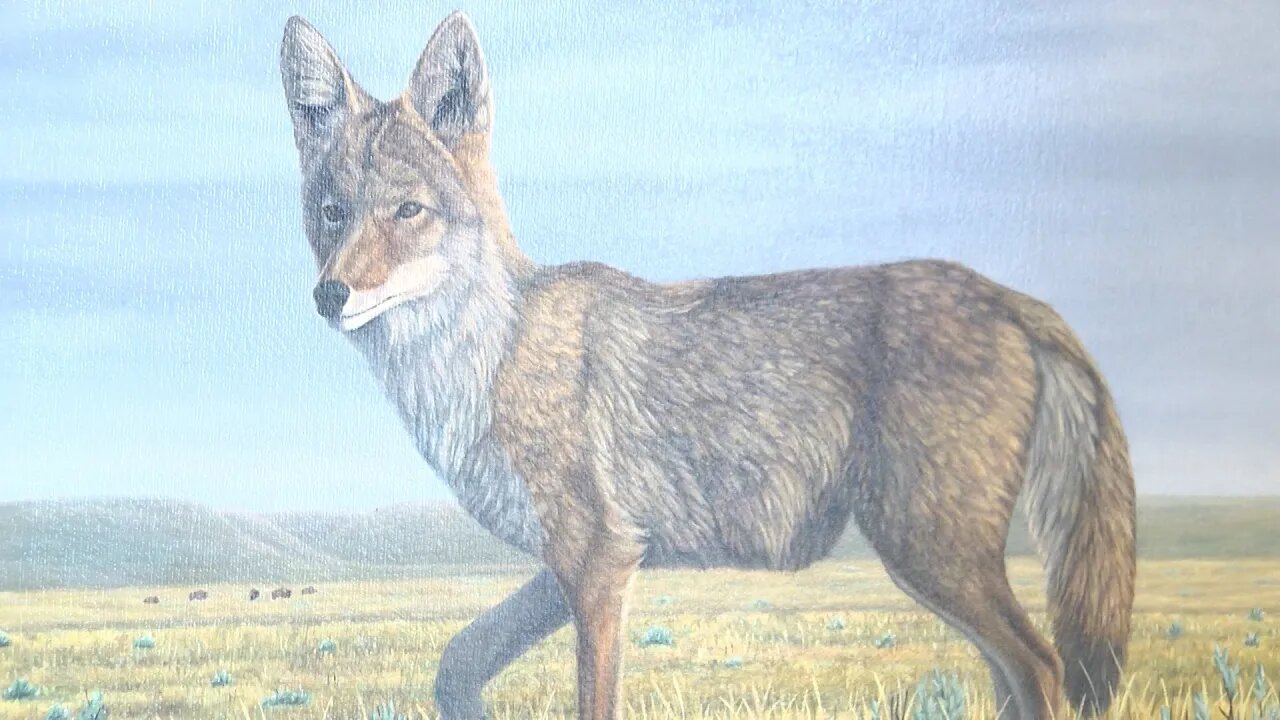Grassland Series Exhibition At Lebel Mansion In Pincher Creek - June 2, 2022 - Micah Quinn