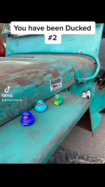 You have been Ducked #2