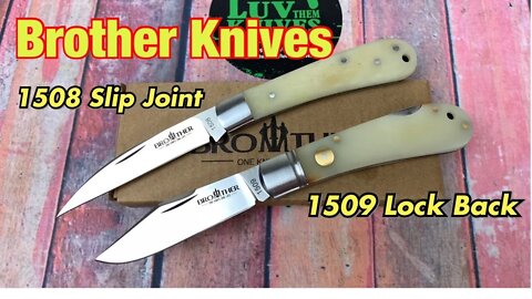 Brother Knives 1508 slip joint & 1509 lock back Bone scales / VG10 blades budget friendly !