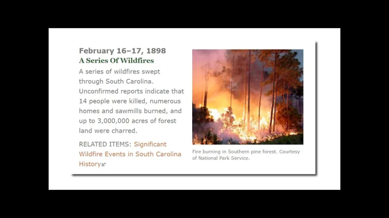 Joe Biden - Wildfire Expert