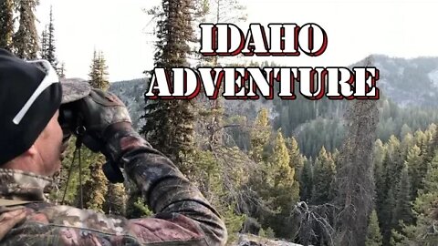 Idaho Bear hunt Day 2