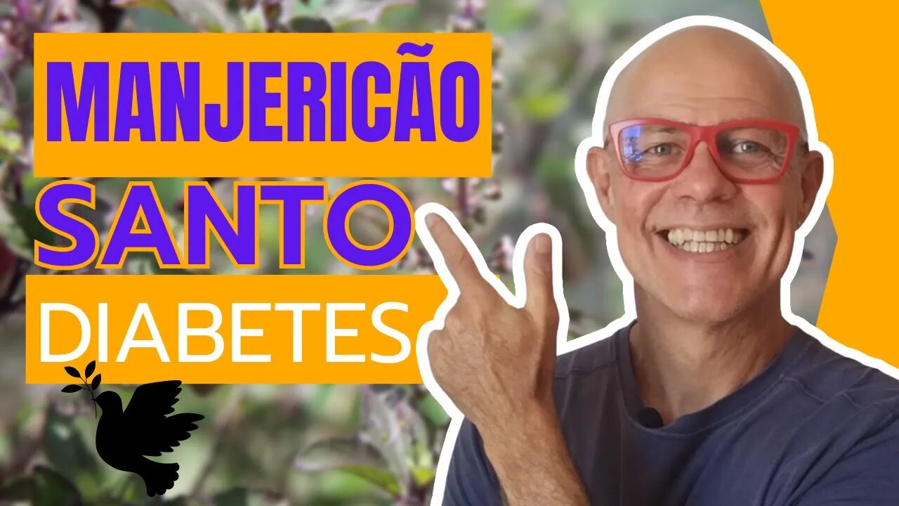 Manjericão Santo Para Diabetes [ Sagrado ]