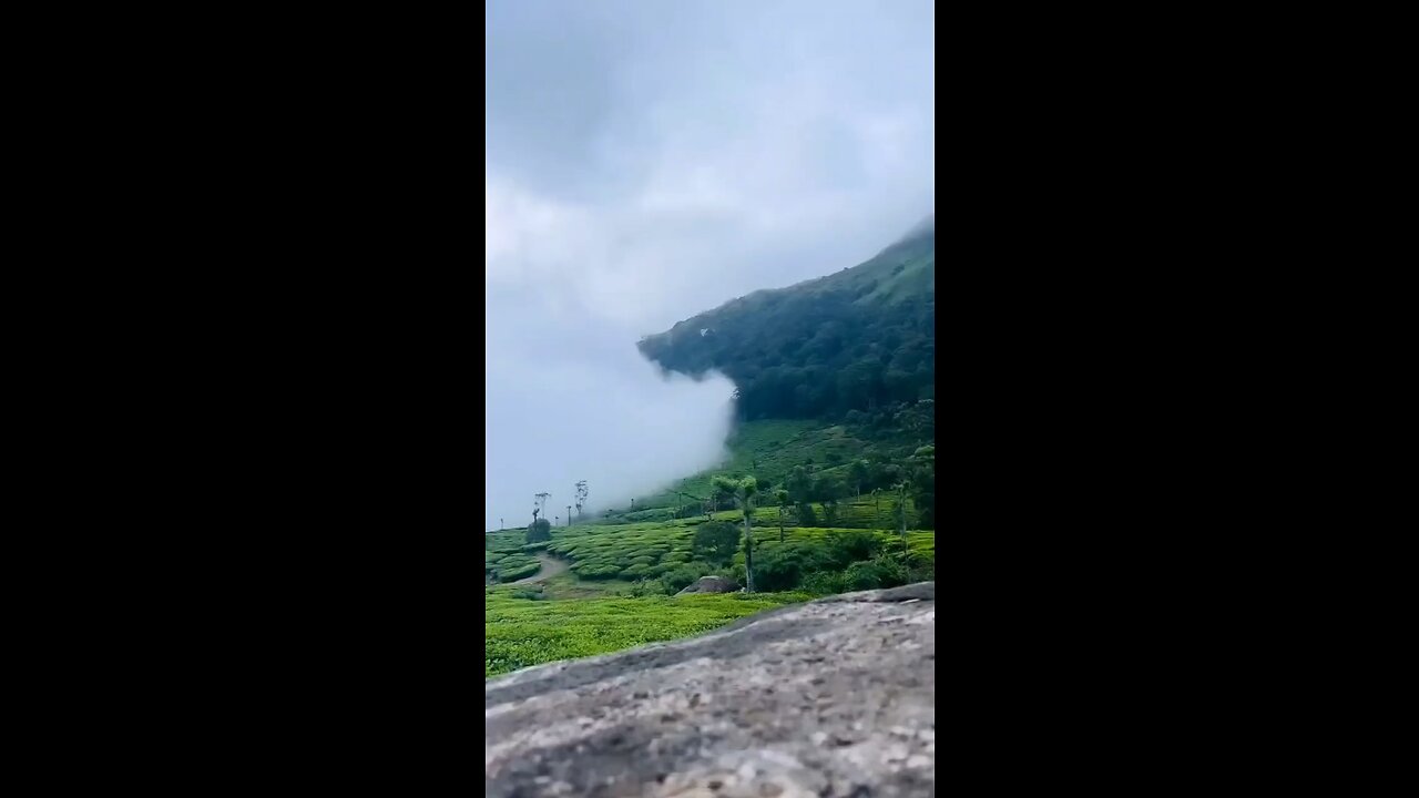 Munnar, Kerala State, India