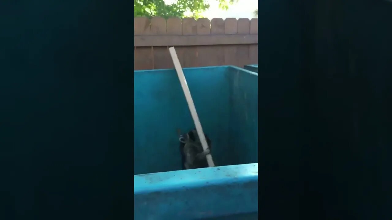 When you think you’re going to climb out of the doldrums of usersub