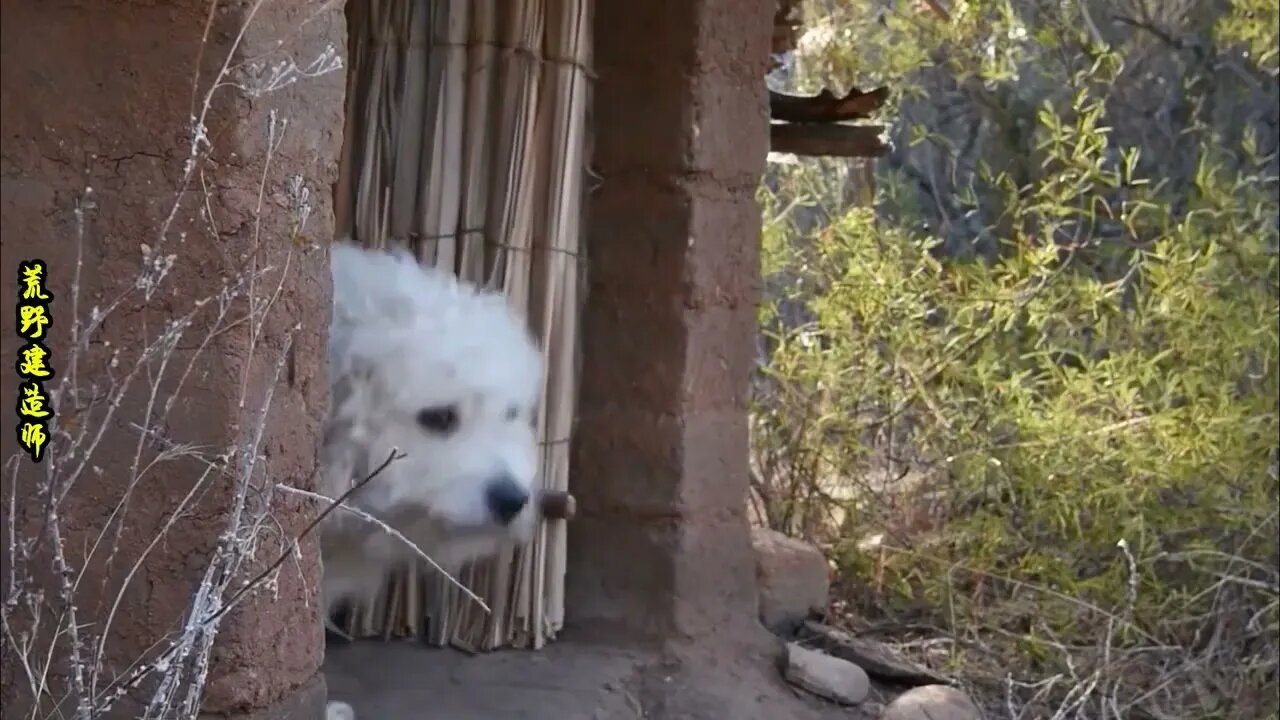 40: After three years in the wilderness, he learns how to survive in the wild.