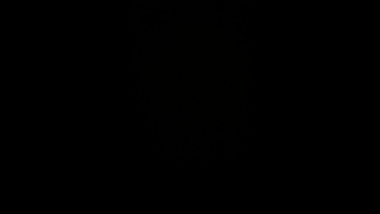 The Democratic Party 🇨🇳