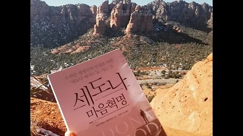 세도나 메소드, 헤일 도스킨, 기본적인 흘려보내기, 테크닉, 허용, 집중, 순간, 그것의 감정이 어떤지 느껴보세요