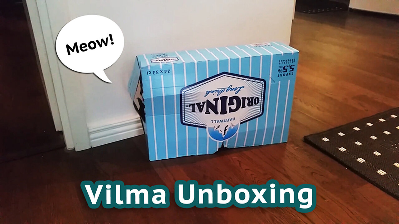 Vilma Cat Legacy: Unboxing Lonkero Drink