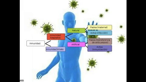 Por 140 estudios realizados: La inmunidad natural es más sólida que la vacunación