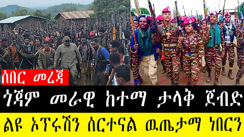 ሰበር መረጃ፡-ጎጃም መራዊ ከተማ ታላቅ ጀብድ/ልዩ ኦፕሩሽን ሰርተናል ዉጤታማ ነበርን