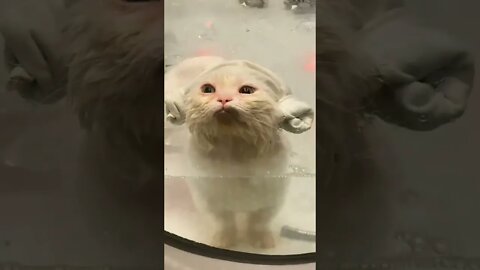 funny viral cute 🥰🥰