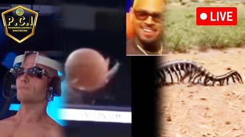 Chris Brown Confirms He's An Alien (+) Giant Centipede Caught On Camera (+) AI prisons Is The Future