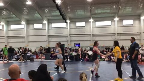 Taylor viper pit duals