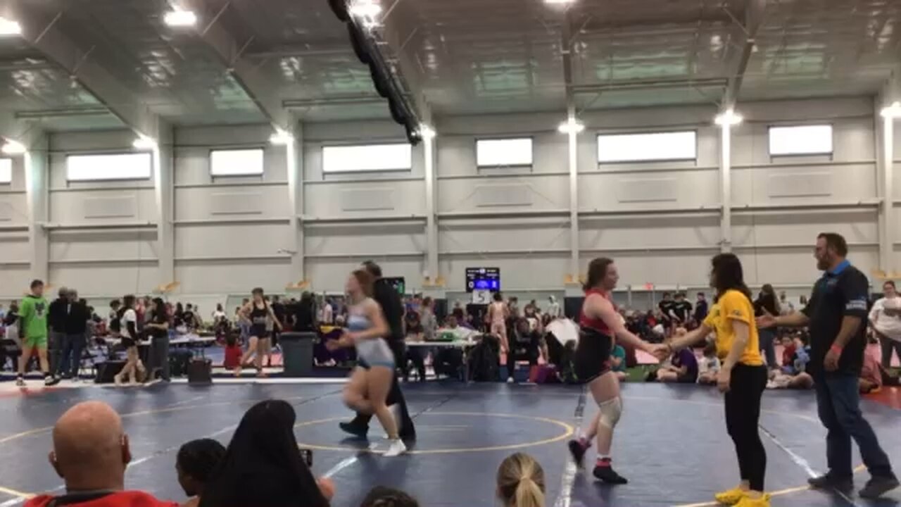 Taylor viper pit duals