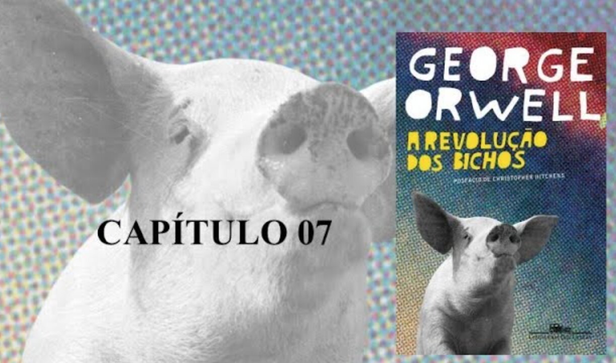 A REVOLUÇÃO DOS BICHOS DE GEORGE ORWELL - CAPÍTULO 7