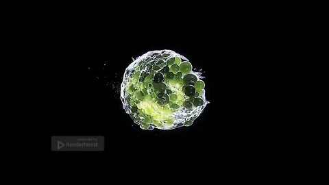 Animation of the RENDERFOREST Intro Logo Template For Free 0003