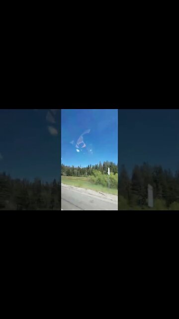 Road Trip To South Lake Tahoe#shorts