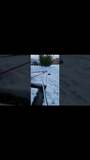 #shorts #2022 funny,prank,funjokes,dad jokes,funny memes,funny video,fun,laughing,funny animal,knock