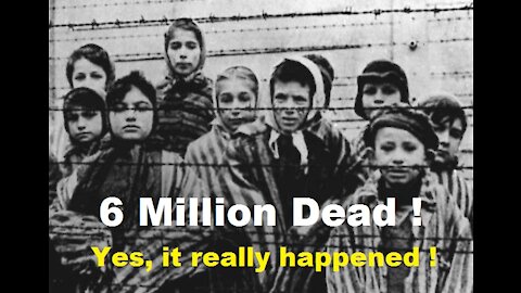 6 million Jews Killed in Holocaust - Yes, Really! A Video for the Clueless in Denial. [mirrored]