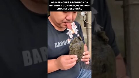 perdendo a língua 😱😱